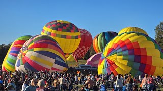 Balloon Festival 2024 [upl. by Inafit537]