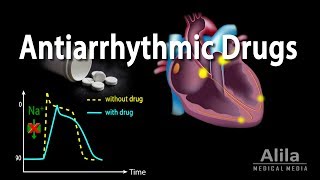 Antiarrhythmic Drugs Animation [upl. by Hamforrd]