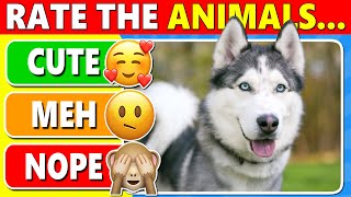 Tier List Rank Animals from Best to Worst🐶🐱🐒 – Animal Quiz [upl. by Ehrsam848]