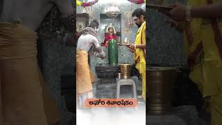 Aghori Abisekam srivedam  aghori abhisekham shiva srivedam viral trending ytshorts [upl. by Beckie610]