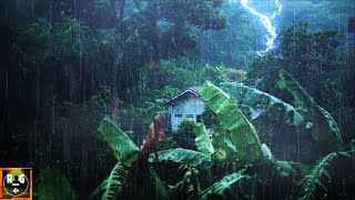 Rainforest Ambience Rain Sounds Jungle Animals and Thunder in the Distance  Relaxing Sleep Sounds [upl. by Natanoy]