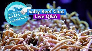 Saltwater Aquarium Reef Chat  Seriously Salty Science Live QampA [upl. by Larner811]