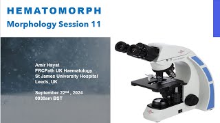 Morphology Session 11 [upl. by Ecaroh]