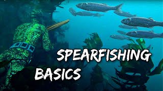 SPEARFISHING FOR BEGINNERS  Shore Diving Edition [upl. by Chlores]