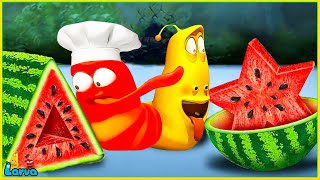 Larva Tuba 20224 Food Shaping  Cartoon Movies Top 50 Episode Mini Series From Animation Larva [upl. by Carn]