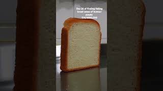 Subscribe to join fypage cake cakebread breadcake fallingbread [upl. by Lira]