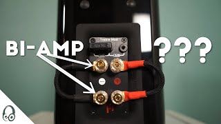 TO BIAMP OR NOT TO BIAMP  Setup  Discussion  AperionAudioSpeakers  Marantz  Denon [upl. by Joyce]