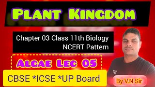 Class 11th Biology Lec 19 ll Chlorophyceae Pheophyceae and Rodophyceae ll V N Singh [upl. by Sokcin]