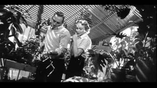 Invasion of the Body Snatchers Pod Scene 1956 [upl. by Ardnuhsal]