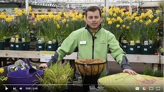 How to make a spring themed hanging basket  Haskins how to 1 [upl. by Cibis]