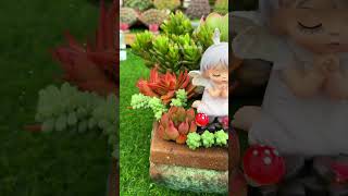 Good idea design planting succulents in pot so beautiful indoorgardening nature diy shorts [upl. by Yltsew]