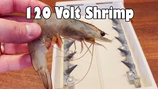 Cooking Shrimp With Retro 120 Volt Hot Dogger NSE [upl. by Aniri]