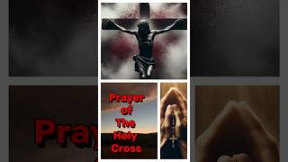 Prayer of The Holy Cross catholic jesus [upl. by Alyss]