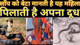 माँ की तरह साँप को पालती है यह महिलाSnake Love Story [upl. by Linsk]