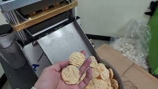 20231012 SYP4506R potato chips making machine test [upl. by Nodnart]