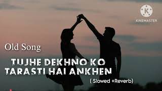 TUJHE DEKHNO KO TARASTI HAI ANKHEN  slowed  Reverb  2023 Trending song [upl. by Enilatan833]