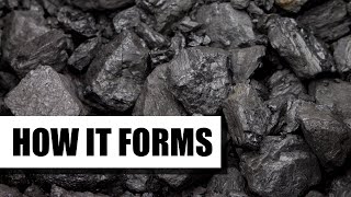 How Coal is Formed [upl. by Gilberto]