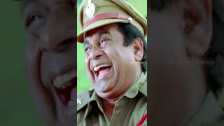 వేణు తో ఆడుకున్న బ్రహ్మి 😂  Brahmanandam  Ramachari Movie  Venu Thottempudi  YouTubeShorts [upl. by Acirre470]