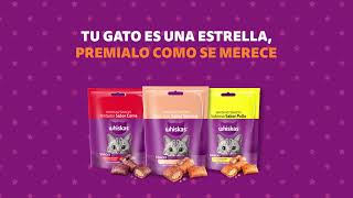 NUEVO Whiskas® Snacks [upl. by Eeclehc433]