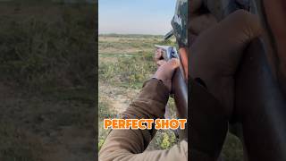 12 Gauge Shotgun youtubeshorts weapon shotgun 30bore 12Gauge duckhuntinge hunting miltiq [upl. by Streeto491]