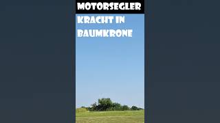 Motorsegler kracht im Baumkrone [upl. by Maurizia159]