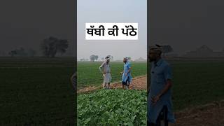 ਥੱਬੀ ਕੀ ਪੱਠੇ kisan khetbadi punjabi haryana funny reels viralvideo viralshorts bhimamabar [upl. by Oiluig]