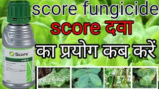 score syngenta  score fungicide  difenoconazole 25 ec  difenoconazole  score [upl. by Essirahs]