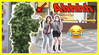 Bushman prank in Seoul Korea 🇰🇷🇰🇷🇰🇷🇰🇷 [upl. by Oap571]