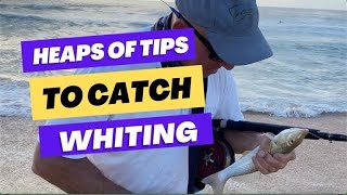 Great TIPS  Beach Whiting Fishing [upl. by Janicki547]