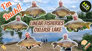 261 Linear Fisheries Oxlease Lake [upl. by Dwane]