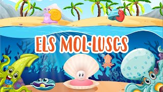 Els mol·luscs  Vídeos educatius per a nens en llengua catalana [upl. by Southard]