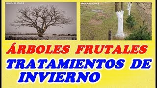 Tratamientos de Invierno Para Arboles Frutales  Todo Huerta y Jardín [upl. by Copland397]