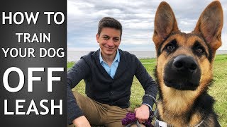 Off Leash Training How to Train Your Dog To Listen Off Leash [upl. by Arotal998]