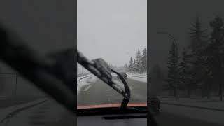 First Snowing in Edmonton Alberta Canada 🇨🇦 edmonton canadianprovince edmontonalberta canadapark [upl. by Esoryram]