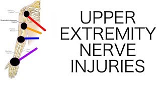 Upper Extremity Nerve Injuries [upl. by Olmsted389]