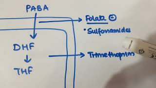 PHARMACOLOGY Antibiotics Mechanism and Site of Action [upl. by Renfred972]