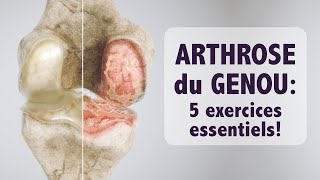 Arthrose du genou 5 exercices ESSENTIELS [upl. by Atnwahsal]