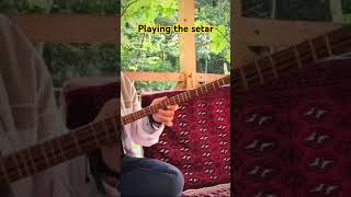 Playing the setar setar music musician art artist voice shomal gilan شمال گیلان ماسوله [upl. by Rozamond]