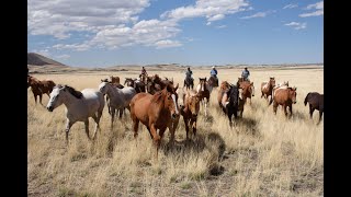 A True Western Adventure The Sprucedale Ranch Horse Drive [upl. by Chansoo]