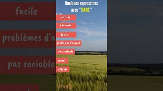 Expressions avec quot DANSquot Vocabulaire en français facile learnfrench [upl. by Klingel]