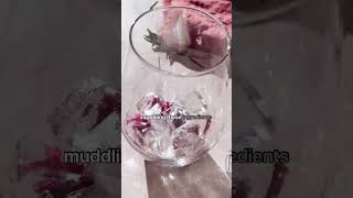 Recipe Cranberry Mocktail [upl. by Merth]