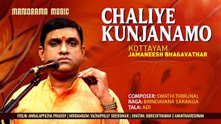 Chaliye Kunjanamo Brindavana Saranga Kottayam Jamaneesh Bhagavathar Navarathri Festival 2021 Live [upl. by Ymrej]