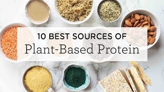 10 BEST PlantBased Protein Sources  a FREE printable [upl. by Eico]