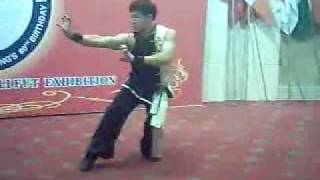 choy lee fut 虎形拳 [upl. by Nylarac265]