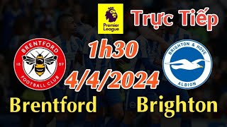 Soi kèo trực tiếp Brentford vs Brighton  1h30 Ngày 442024 vòng 31 Ngoại Hạng Anh [upl. by Wettam]