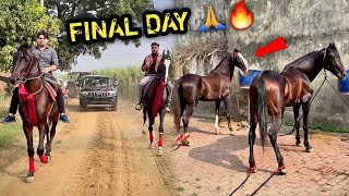 Ganga Snan Pr jaane Ke Liye Apne GHODO Ko Gao Le Aaye 🔥Aaj Hai Final Day 😰Kya Hoga [upl. by Werdnael501]