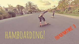 Quarantine Skate Part 3 Hamboards [upl. by Tomasina652]