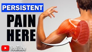 Persistent Rhomboid Pain Best Exercises amp Posture Modifications [upl. by Itnahs804]