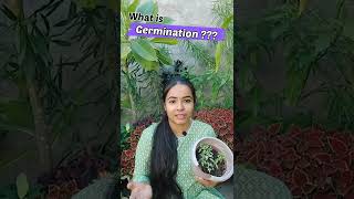 What is Germination shorts gardening germination plants [upl. by Ynohtona]