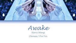 Karry Wang 王俊凯  Awake 醒着Lyrics 歌词 ChinesePin Yin [upl. by Drofnelg296]